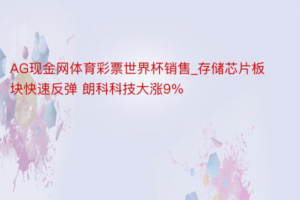 AG现金网体育彩票世界杯销售_存储芯片板块快速反弹 朗科科技大涨9%