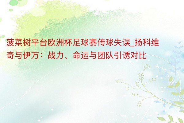 菠菜树平台欧洲杯足球赛传球失误_扬科维奇与伊万：战力、命运与团队引诱对比