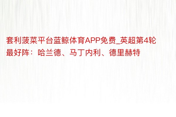 套利菠菜平台蓝鲸体育APP免费_英超第4轮最好阵：哈兰德、马丁内利、德里赫特