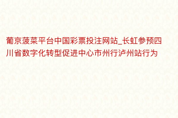 葡京菠菜平台中国彩票投注网站_长虹参预四川省数字化转型促进中心市州行泸州站行为
